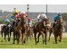  Carrera: P.Játiva Caballo: Haya Taal Monta: E.A Rodríguez